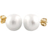 Decadent White 10mm Pearl Studs